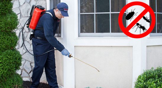 Güçlükonak Böcek ve Haşere İlaçlama böcek ilaçlama ve haşere kontrolü — ilaclama-tr.com